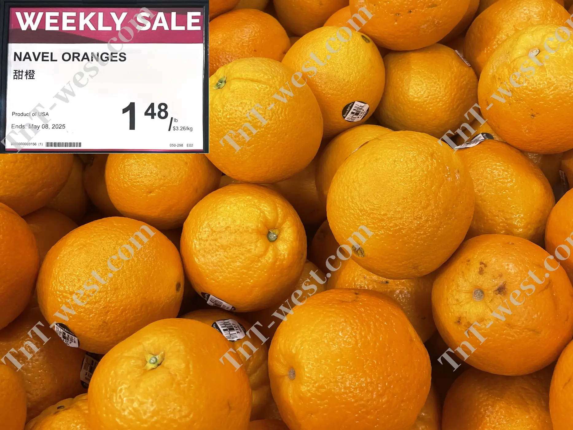 Navel Oranges