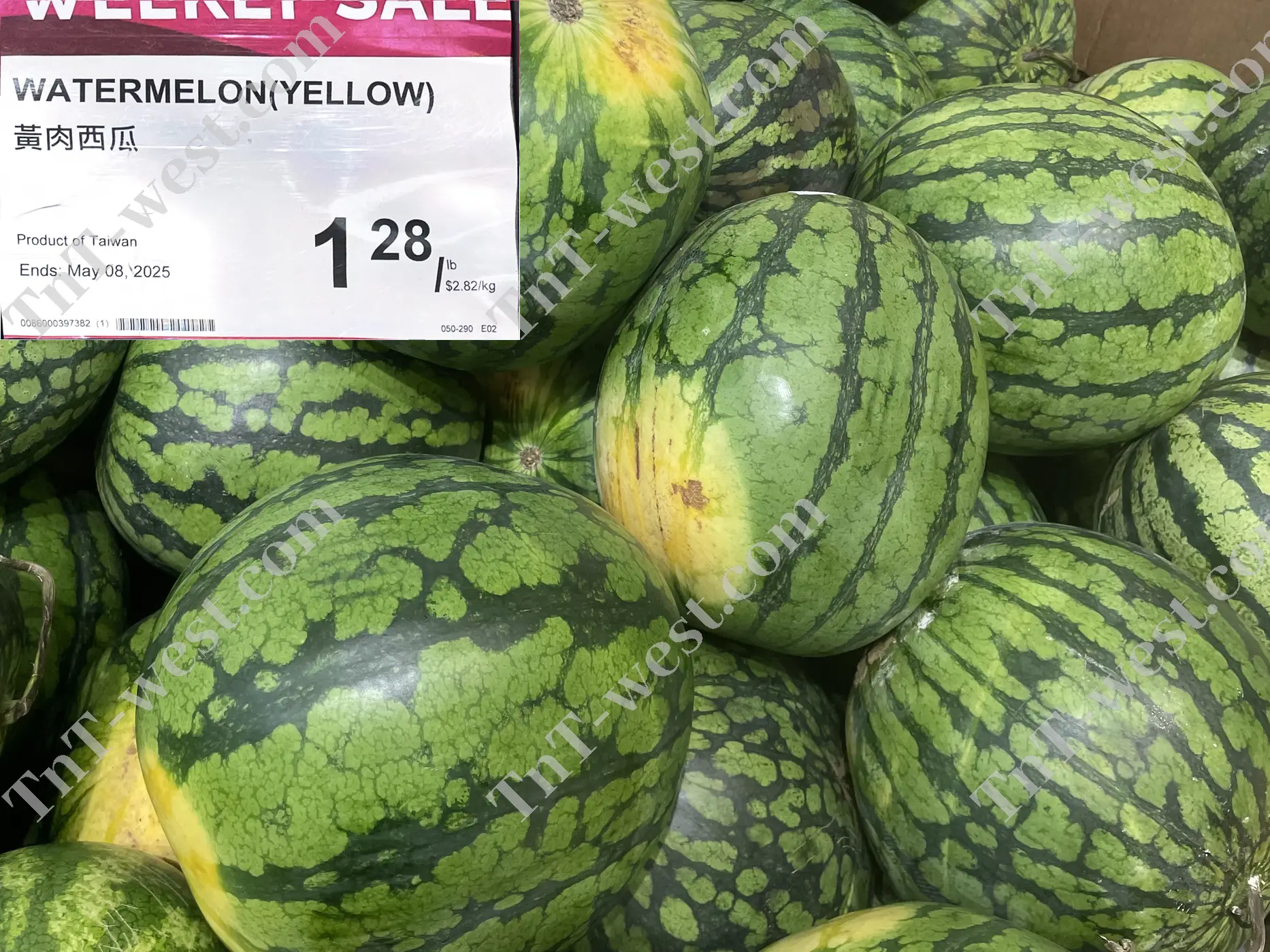 Watermelon(Yellow)