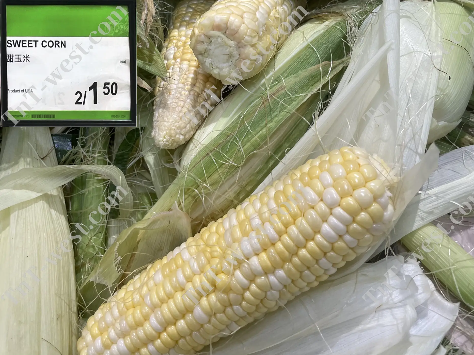 Sweet Corn