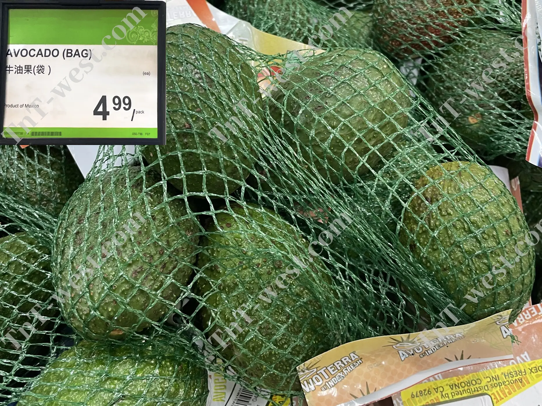 Avocado