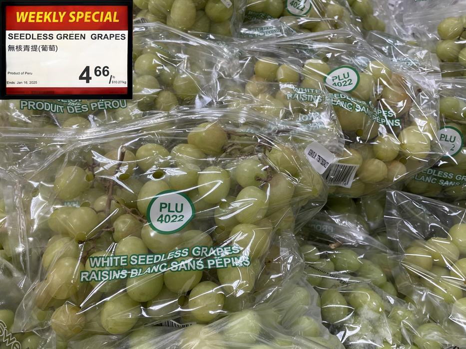 Seedless Green Grapes