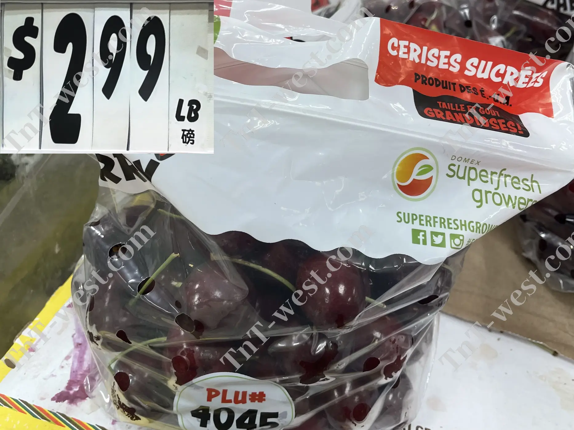 Cherry