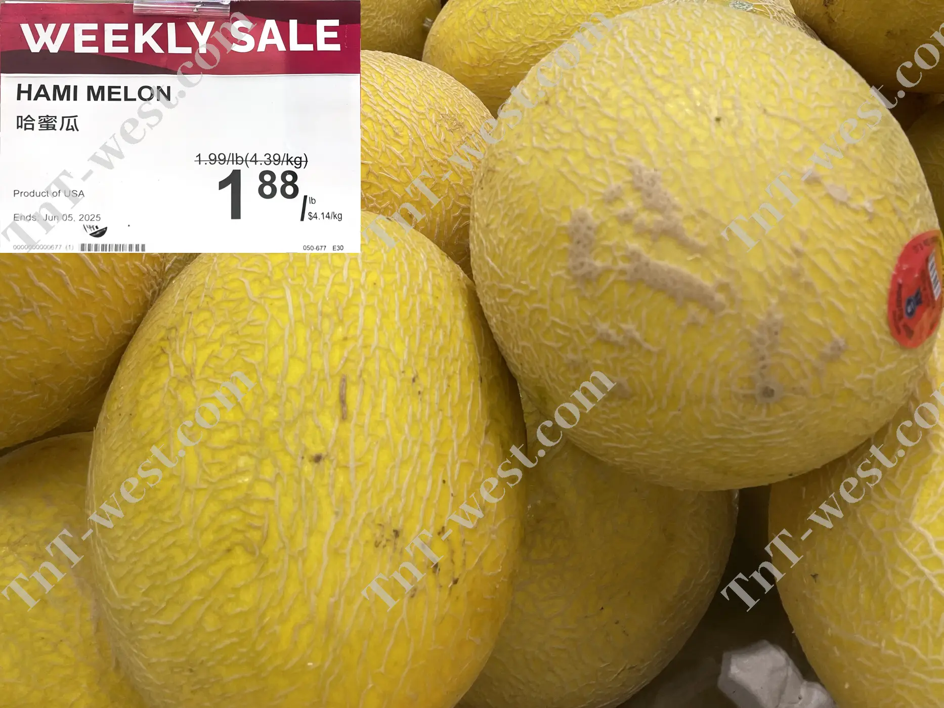 Hami Melon