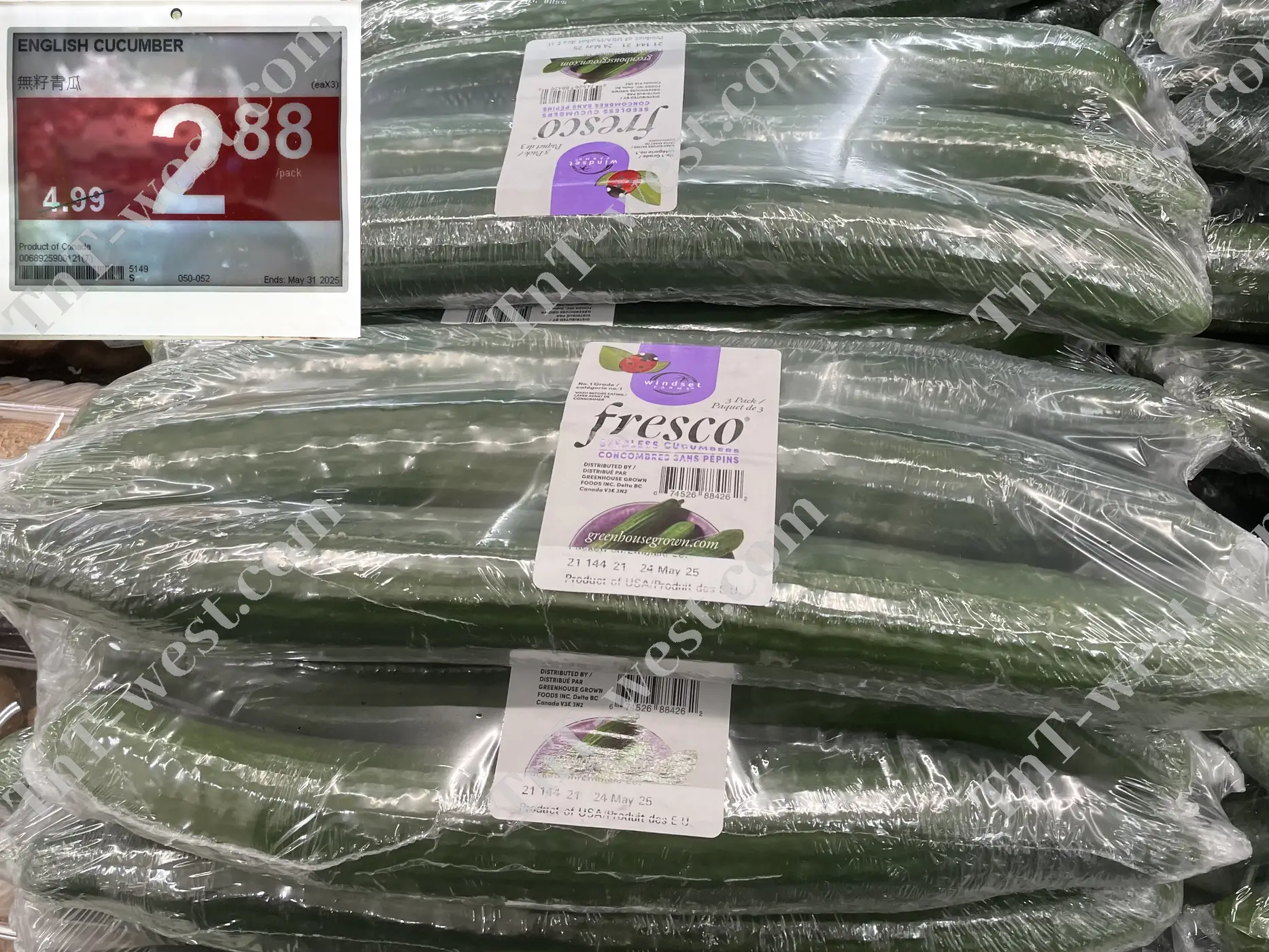 English Cucumber