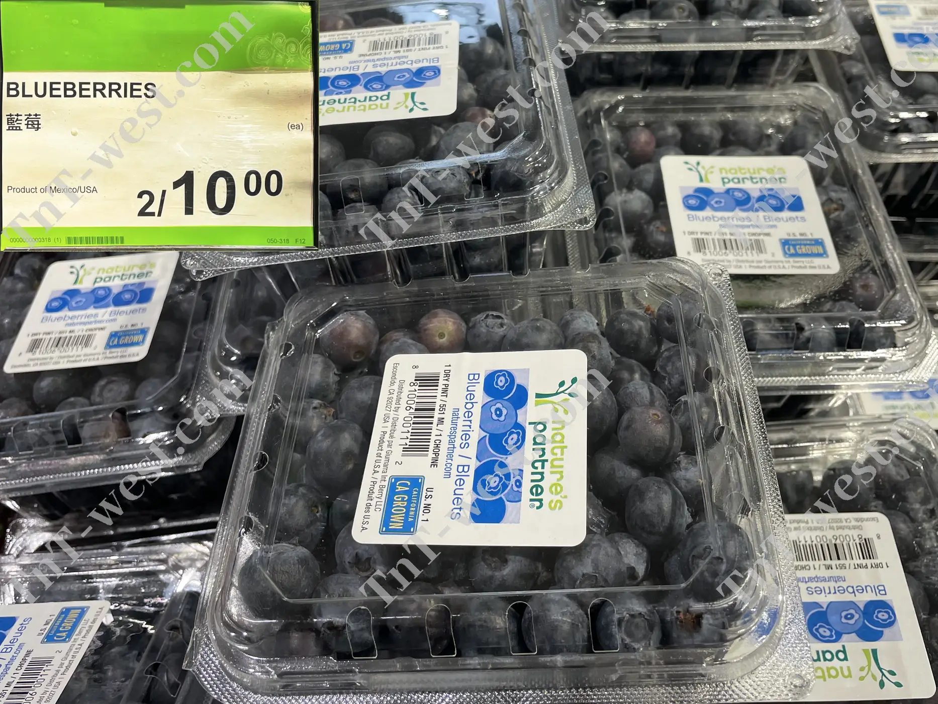 Blueberries