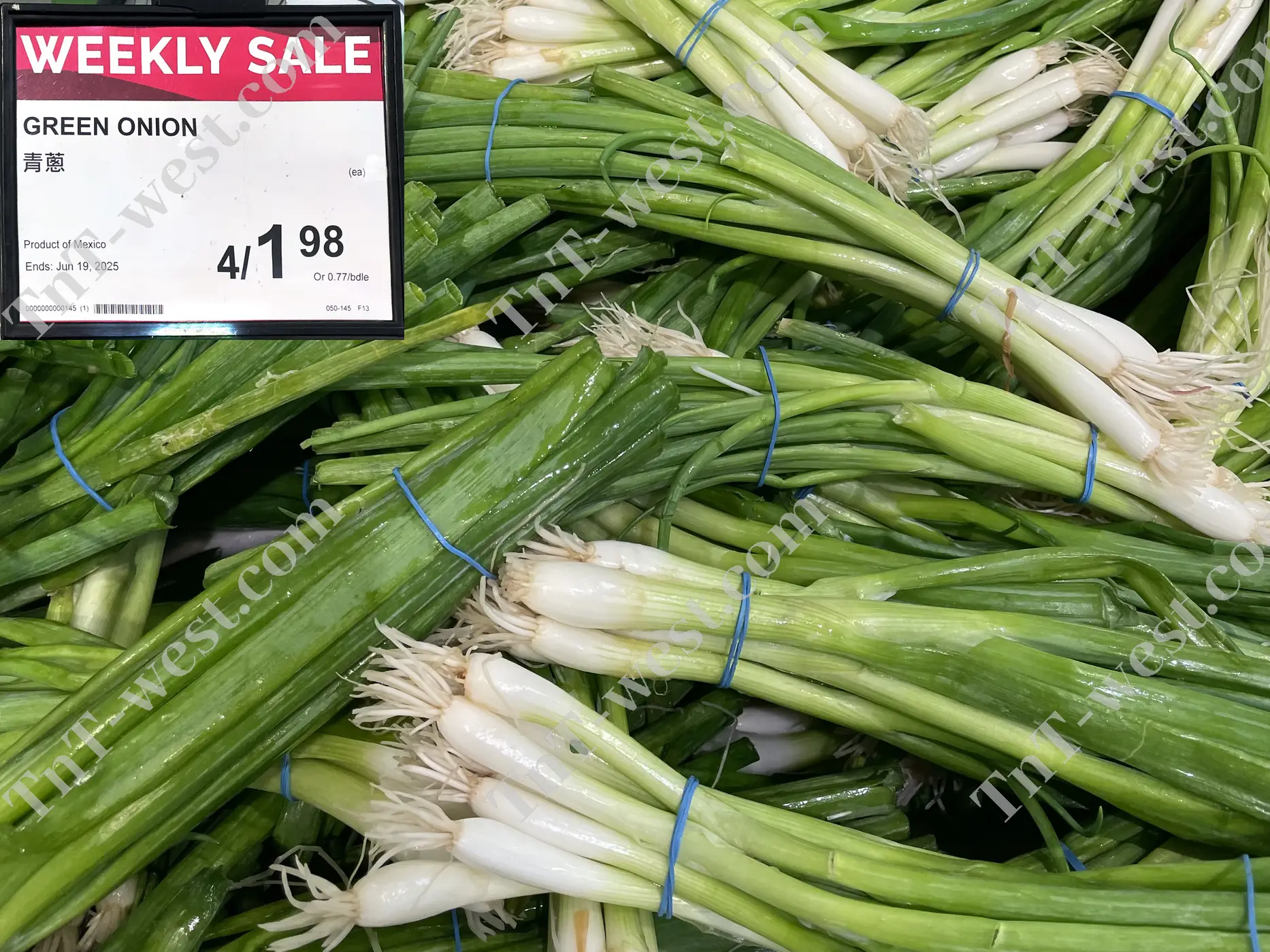 Green Onion