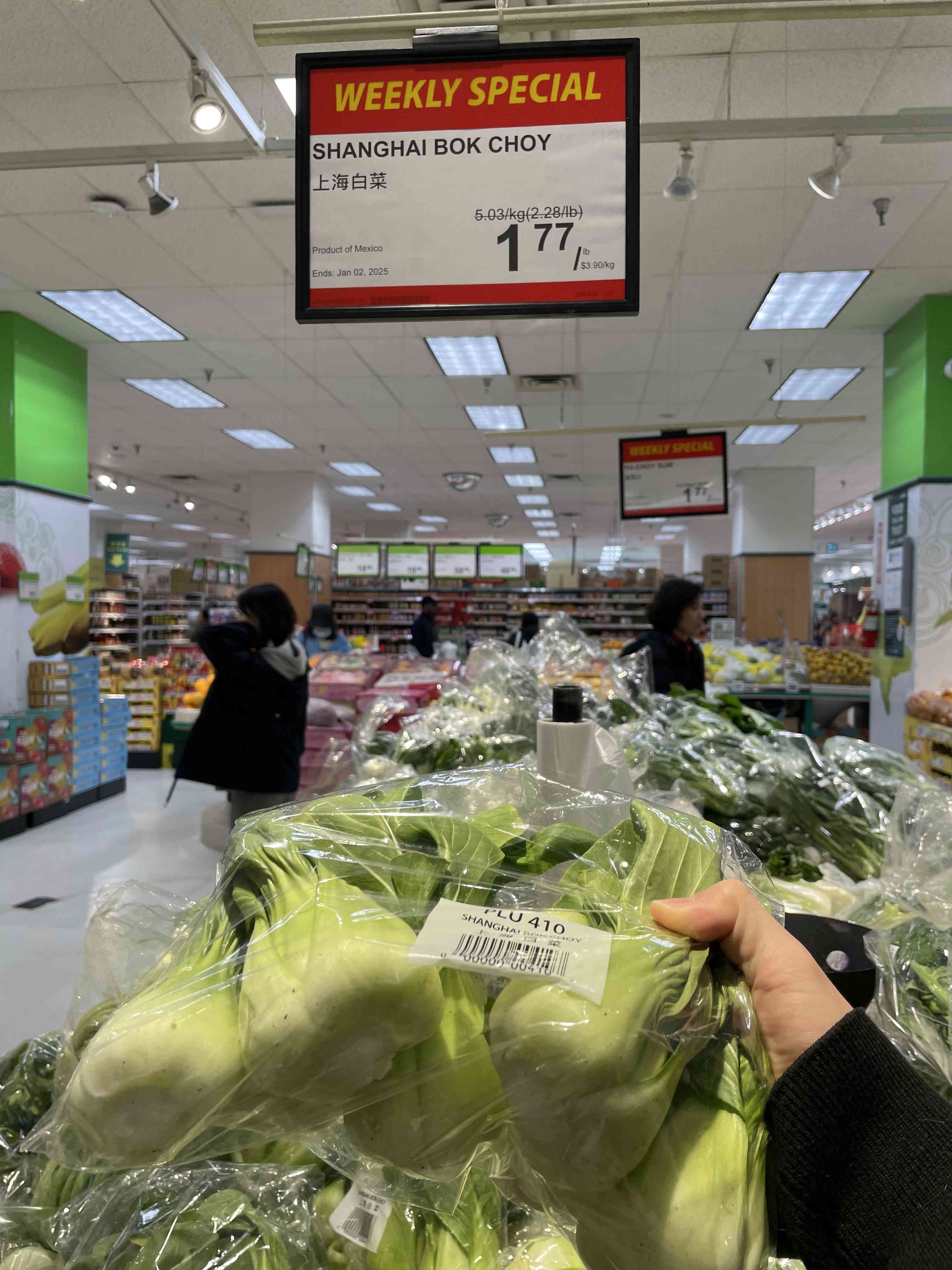 Shanghai Bok Choy