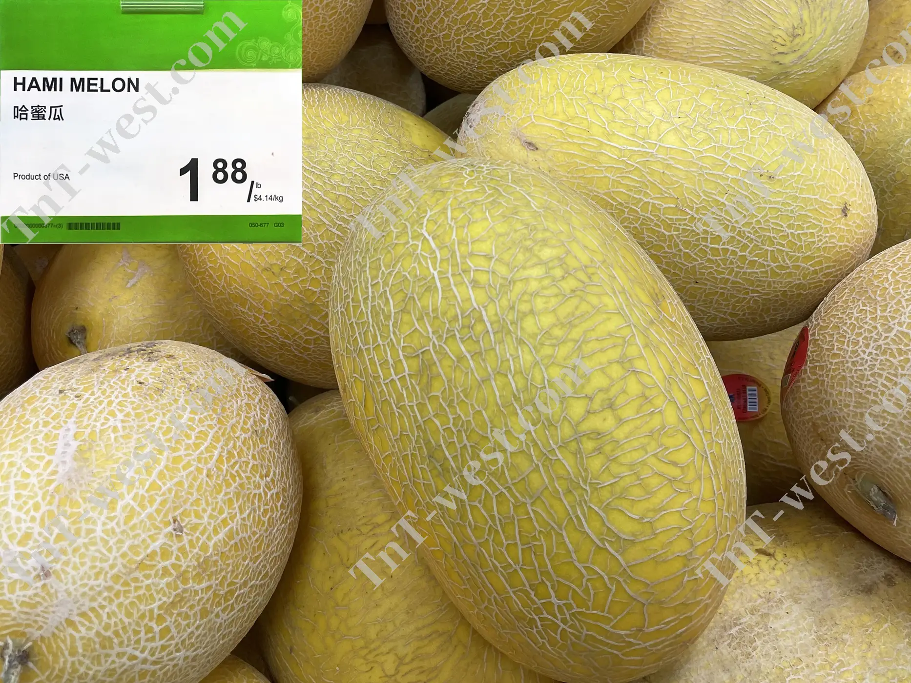 Hami Melon