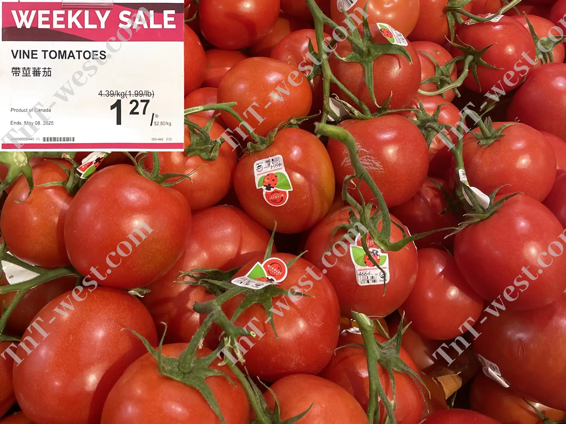 Vine Tomatoes