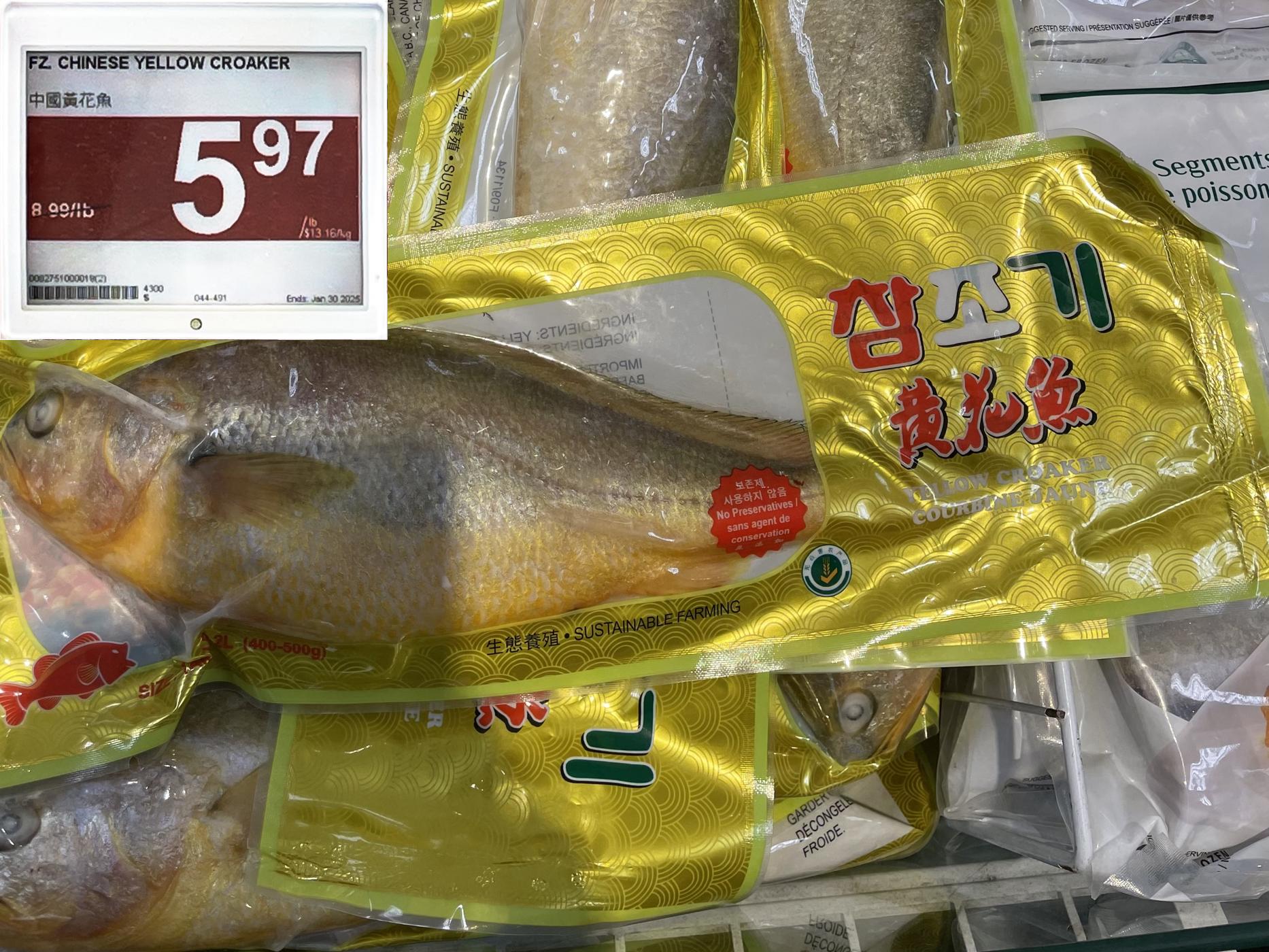 Chinese Yellow Croaker