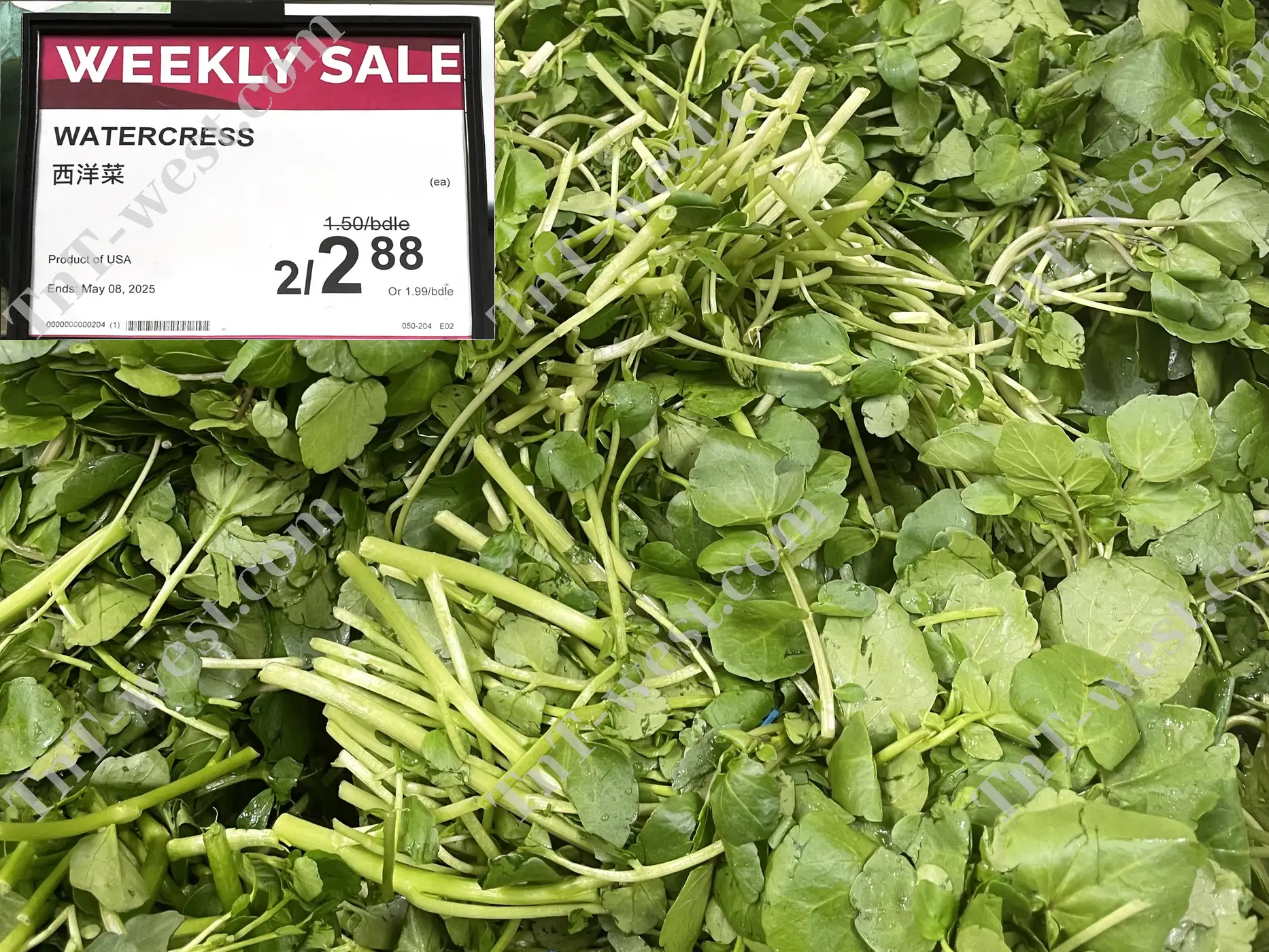 Watercress