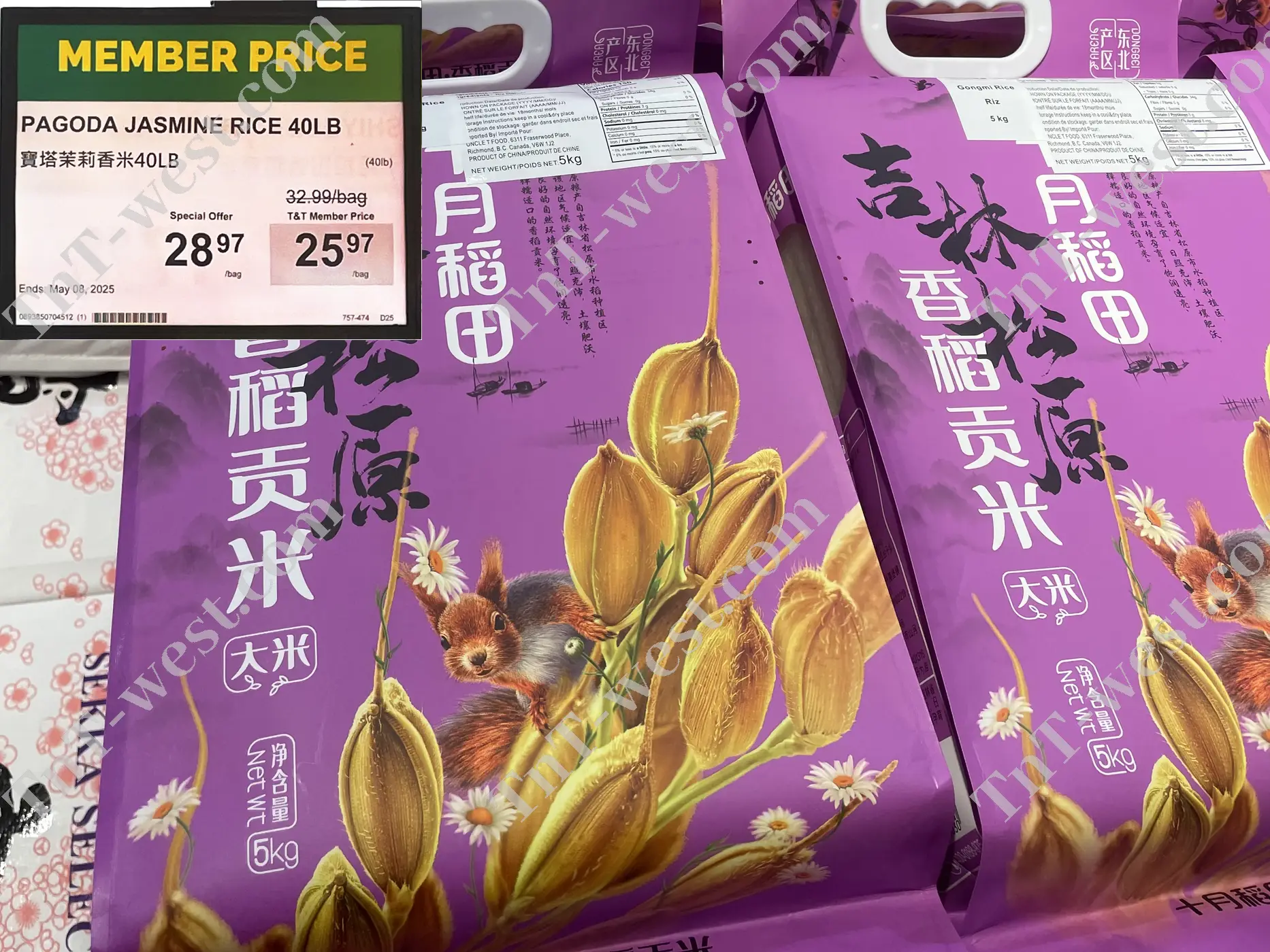 Pagoda Jasmine Rice