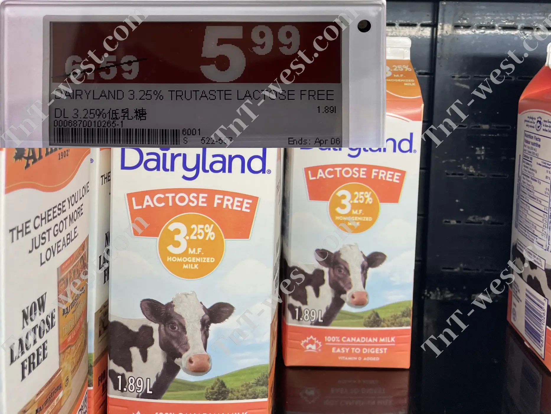 Dairyland Lactose Free