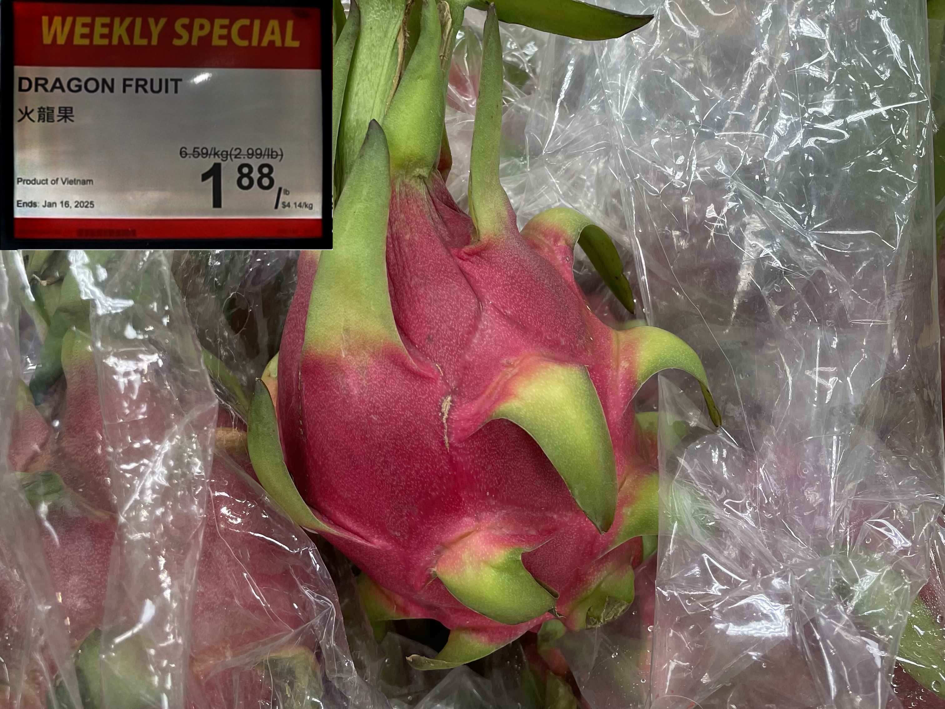 Dragon Fruit