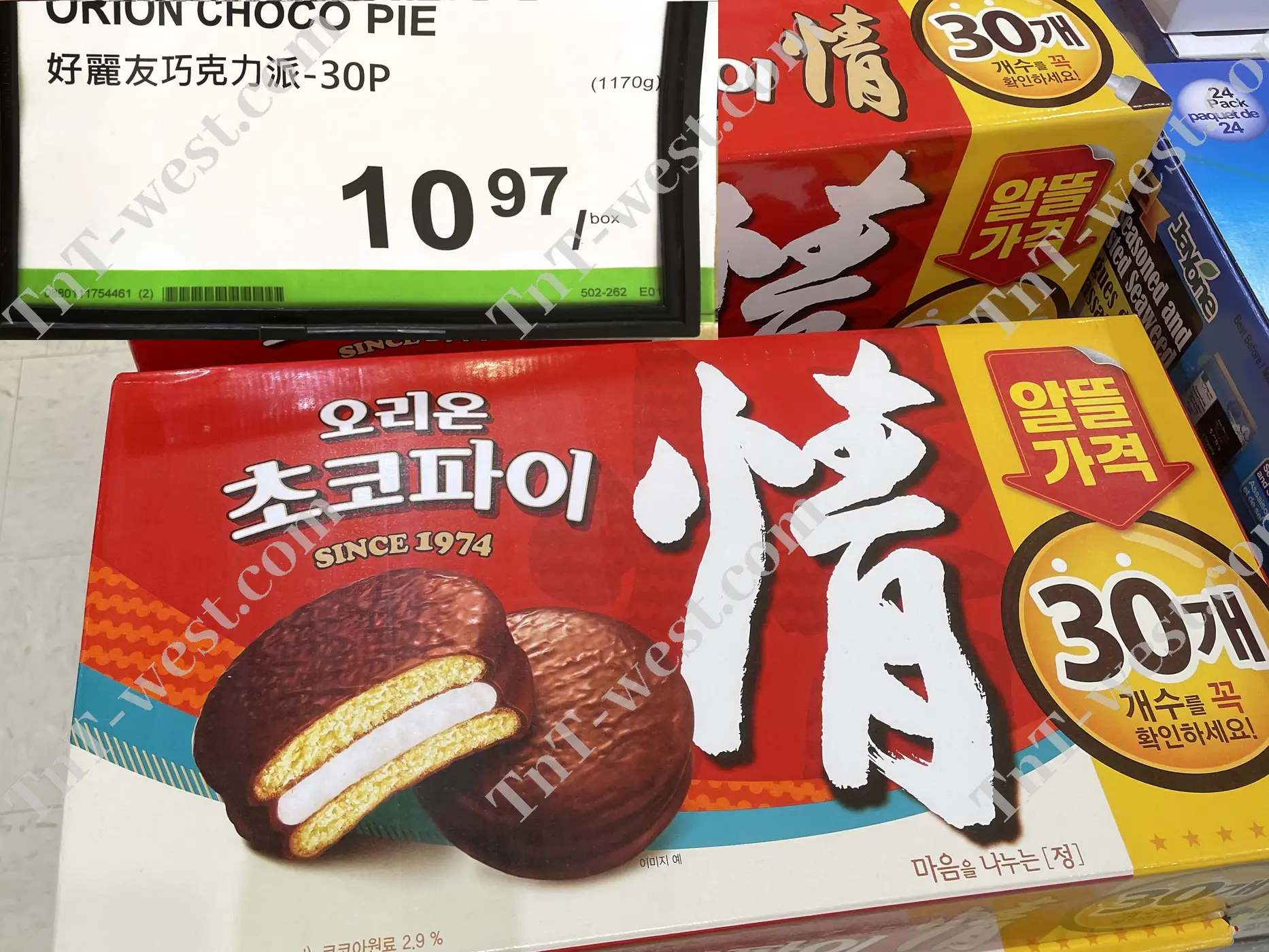 Orion Choco Pie