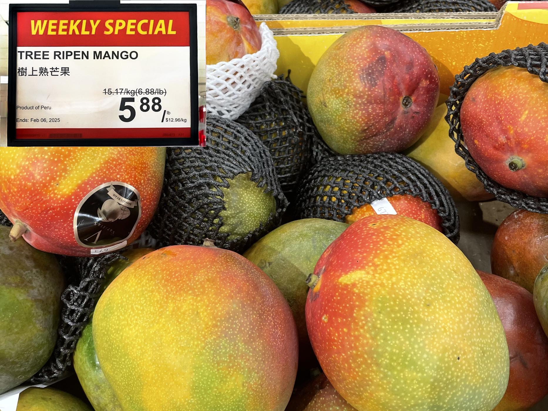 Tree Ripen Mango